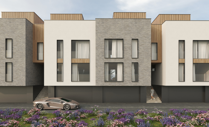 Project Gallery Image