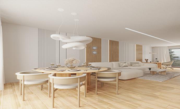 Project Gallery Image